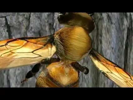 1win aviator online 