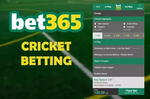 como jogar football bingo online 
