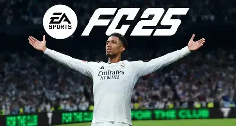 como ver minhas apostas feitas na estrela bet 