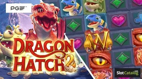 novo código promocional da blaze 