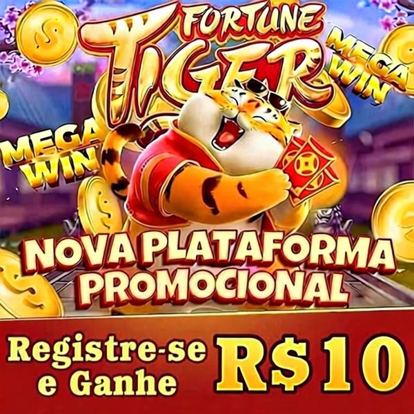 sport bet 