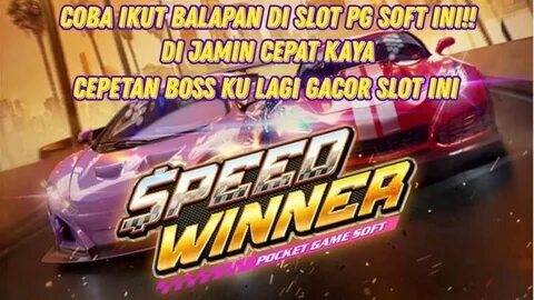 stake aposta 